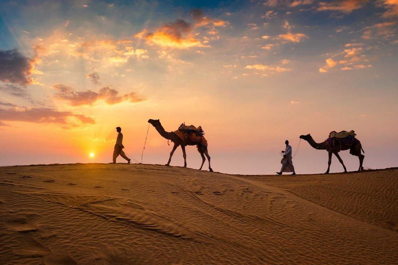 Rajasthan Royal Tour