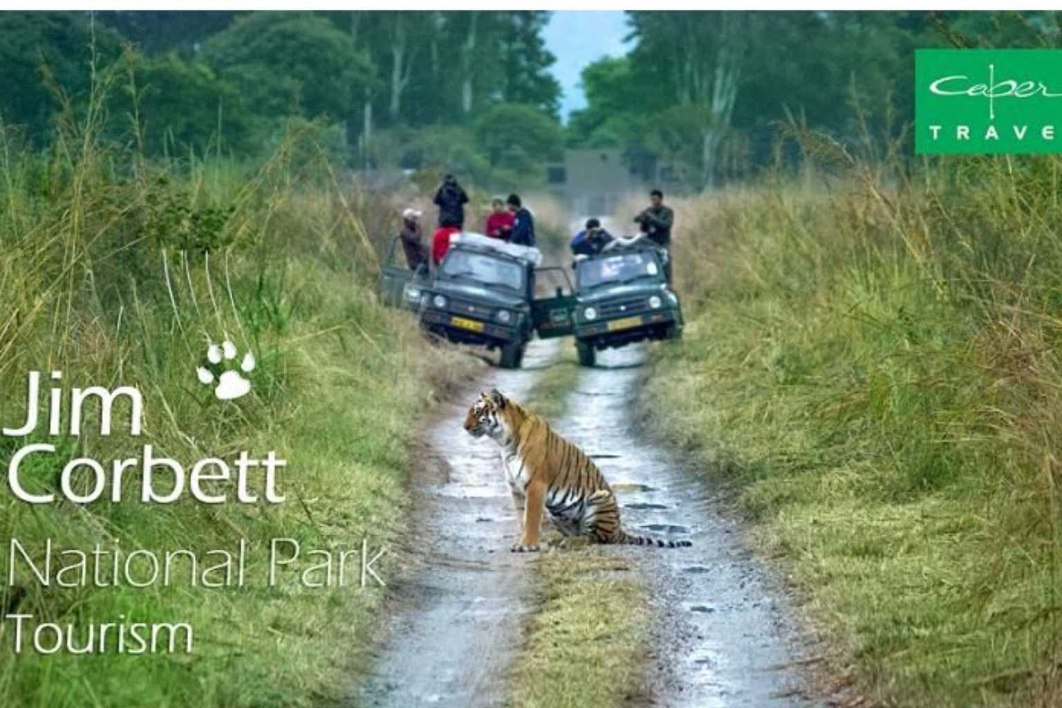 Jim Corbett Wildlife