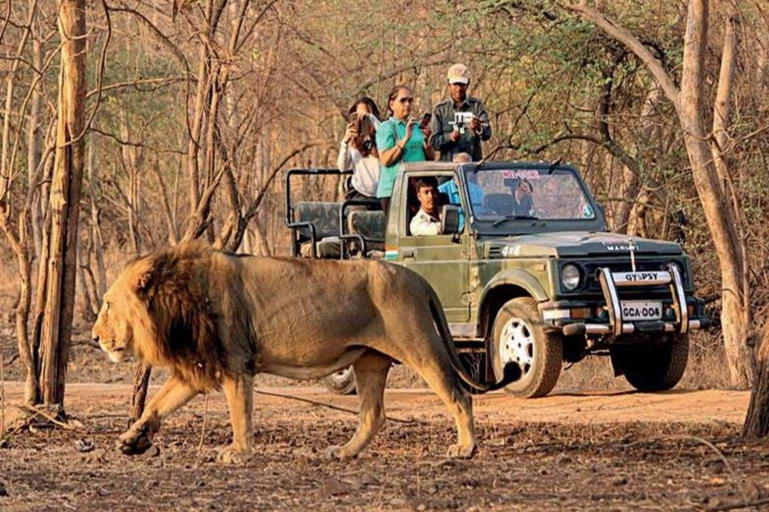 Jim Corbett Wildlife