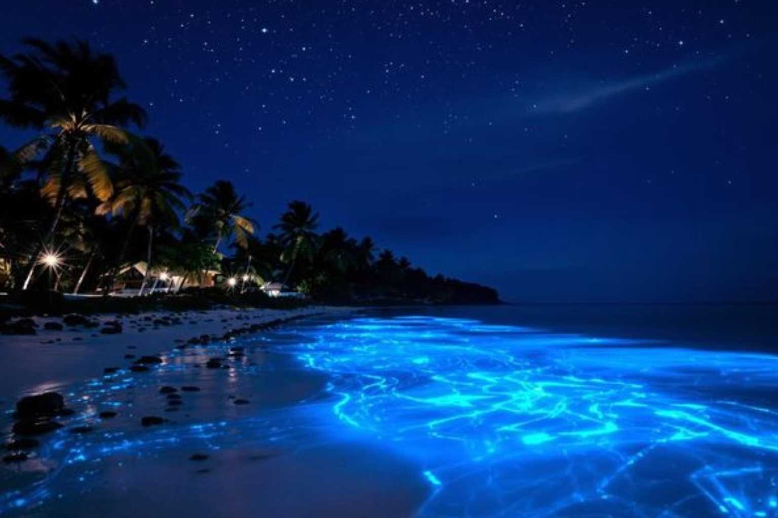 Maldives Escape