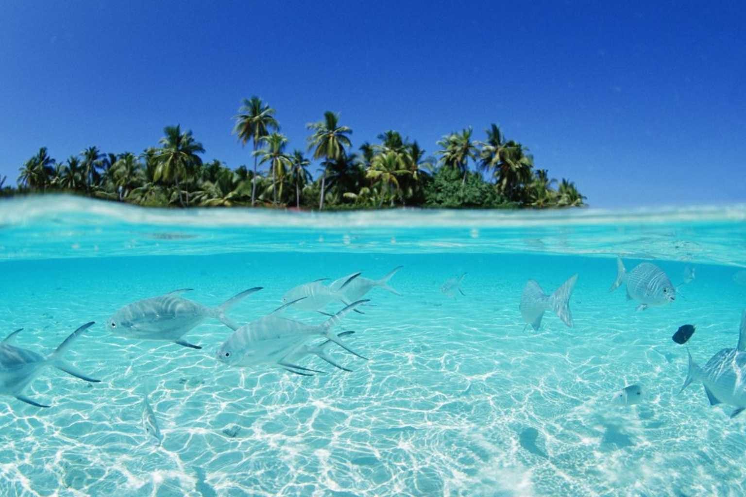 Maldives Escape