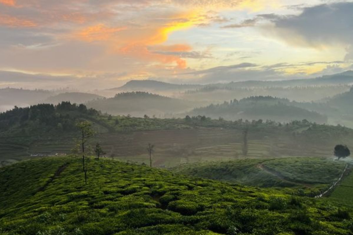 Ooty Tour Package Weekend Special