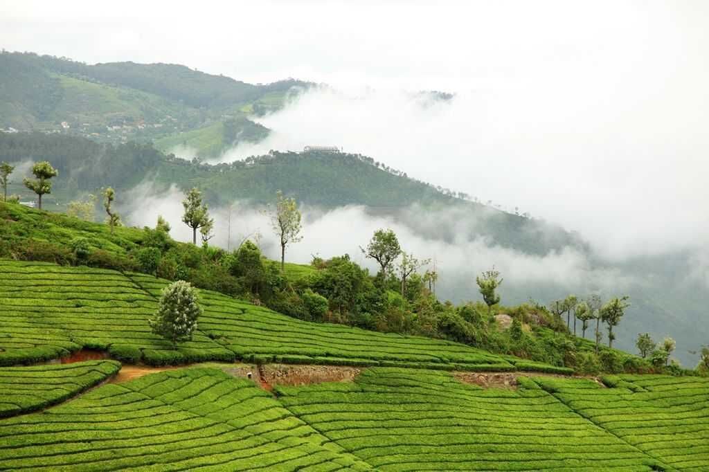 Ooty Madurai Tour Package