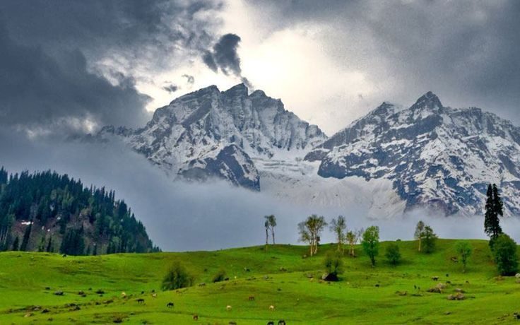 Kashmir Tour Package with Doodhpathri 