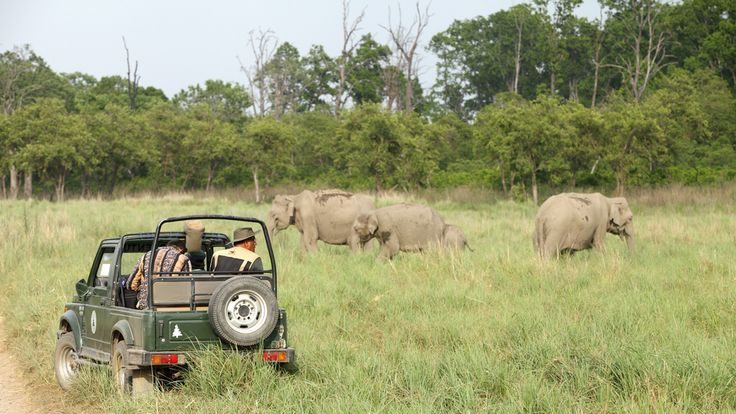 Corbett Holiday Tour Package 
